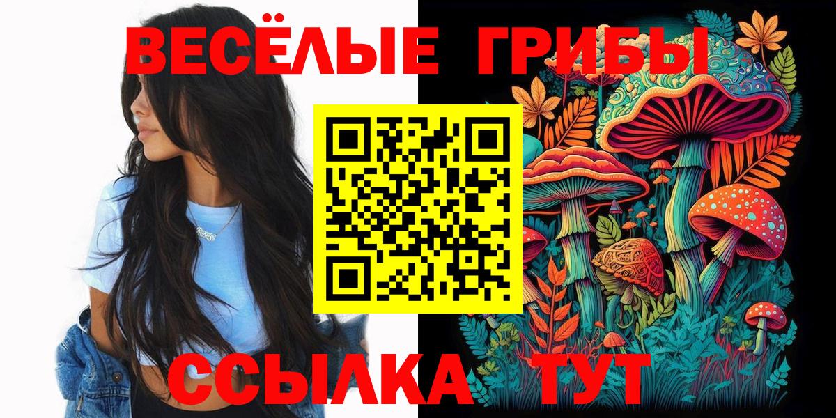 Тобольск  закладки  Вход с VPN  Псилоцибиновые грибы мухоморы 